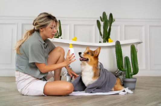 How to Groom a Dog Step-by-Step at Home: Tips for a Stress-Free Experience - Pure Paws