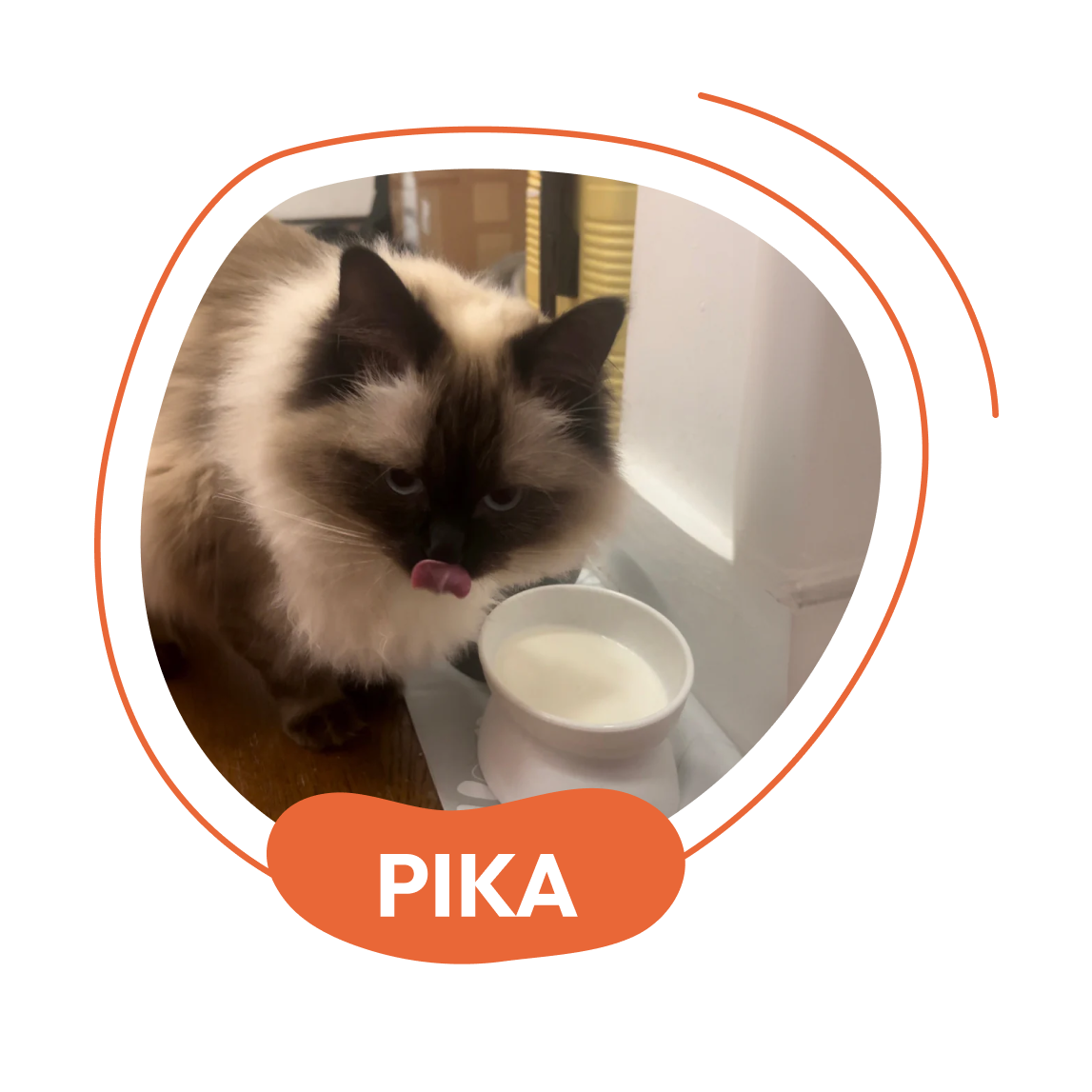 Pika - Natural Pet Food