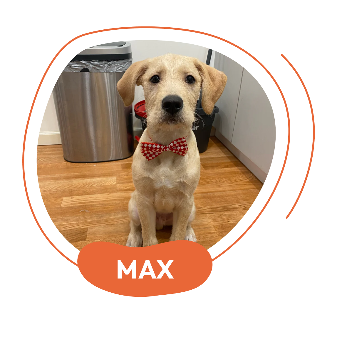 Max - Nutrient-Rich Diet