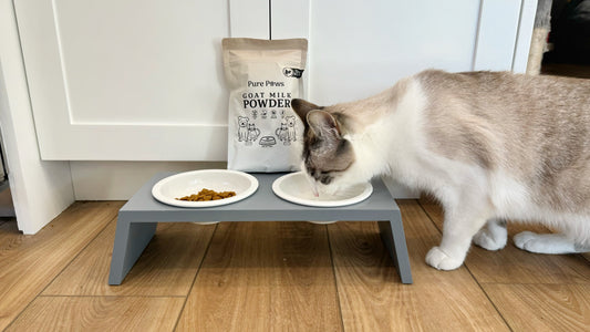 Purr-fect Nutrition: Unveiling the Benefits of Goat Milk for Cats