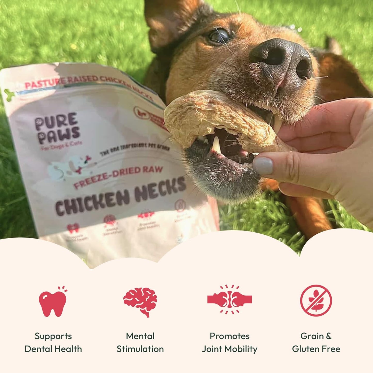Freeze-Dried Chicken Necks, High Protein, Dental & Joint Health